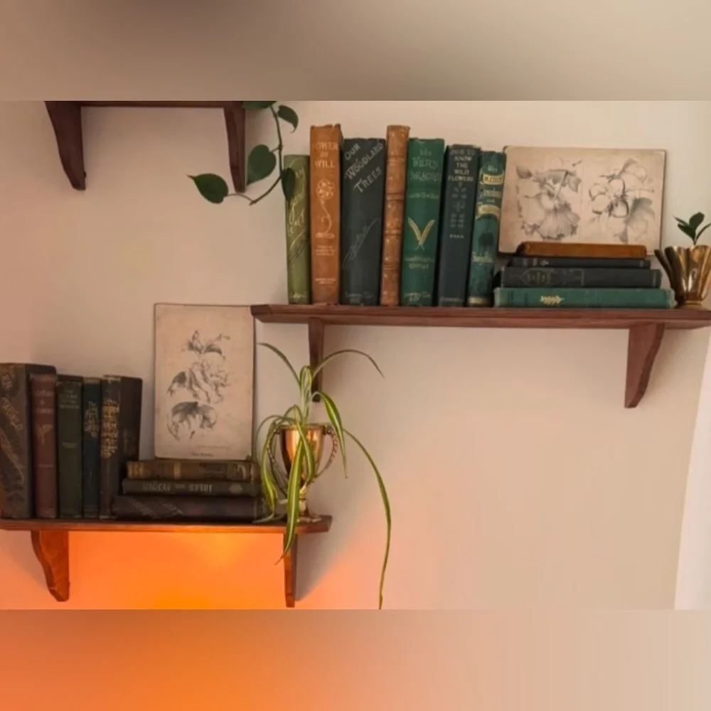 Vintage Cottagecore Solid Wood Wall Display Shelf